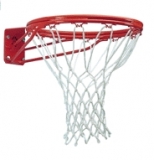 Basketball Board / Rings
